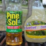 How To Make A Powerful DIY Fly Spray
