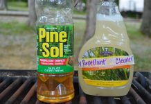 How To Make A Powerful DIY Fly Spray