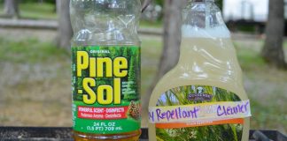 How To Make A Powerful DIY Fly Spray