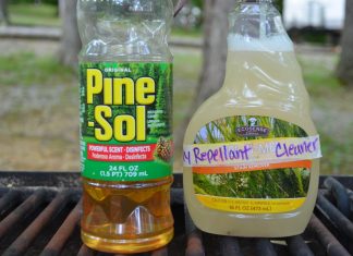 How To Make A Powerful DIY Fly Spray