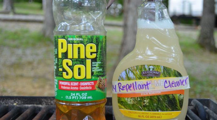 How To Make A Powerful DIY Fly Spray