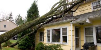 Top Ways to Make Sure Your House Doesn’t Get Damaged During a Storm