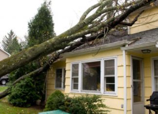 Top Ways to Make Sure Your House Doesn’t Get Damaged During a Storm