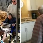Son Renovates His Basement To Create A ‘Granny Pod’ For His Elderly Parents