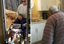 Son Renovates His Basement To Create A ‘Granny Pod’ For His Elderly Parents