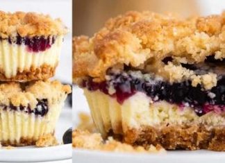 Mini Blueberry Cheesecake