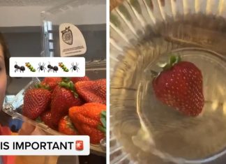 In Today’s News, Putting Strawberries Into Salt Water Makes Tiny Bugs Come Out Of Them