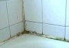 How To Remove Mold And Mildew Stains From Shower Caulking