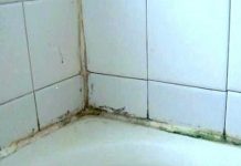 How To Remove Mold And Mildew Stains From Shower Caulking