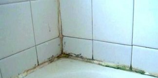 How To Remove Mold And Mildew Stains From Shower Caulking