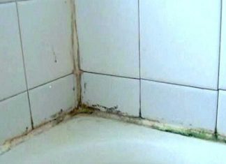 How To Remove Mold And Mildew Stains From Shower Caulking