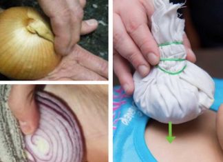 10 Amazing Uses For Onions That You’ve Probably Never Heard About