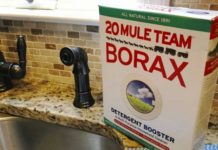 19 Great Ways To Use Borax Around The House