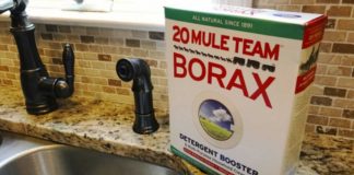 19 Great Ways To Use Borax Around The House