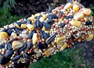 12 Creative Ways To Use Toilet Paper Rolls Around The House