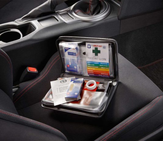 10 Important Things Everyone Should Have In Their Car This Winter