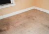 How To Revive Dingy Carpets Using Dollar Store Products