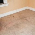 How To Revive Dingy Carpets Using Dollar Store Products