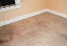How To Revive Dingy Carpets Using Dollar Store Products