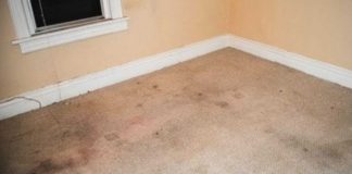 How To Revive Dingy Carpets Using Dollar Store Products