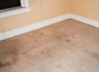 How To Revive Dingy Carpets Using Dollar Store Products