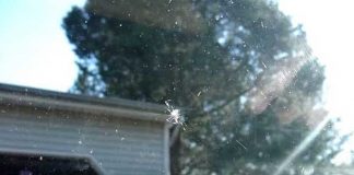 How To Fix A Windshield Chip Or Crack Before It Gets Worse