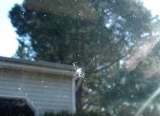 How To Fix A Windshield Chip Or Crack Before It Gets Worse