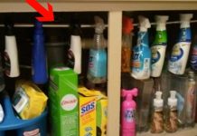 We’ve Rounded Up The 10 Best Organizational Hacks Out There