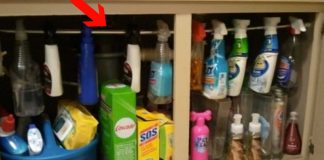 We’ve Rounded Up The 10 Best Organizational Hacks Out There