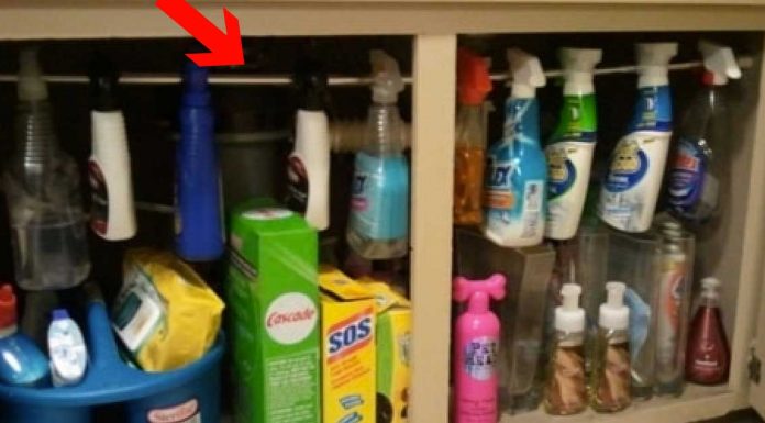 We’ve Rounded Up The 10 Best Organizational Hacks Out There