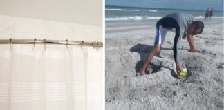 Use The Shower Curtain Liner To Create A Little “Mini-Ocean” For Your Children