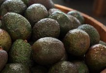 The Smartest Way to Keep Avocados Fresh for Up to a Month