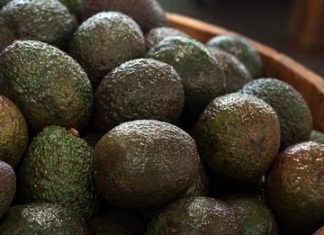 The Smartest Way to Keep Avocados Fresh for Up to a Month