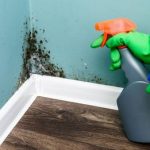 5 ways to remove mold from the most important surfaces in your home