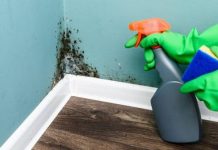 5 ways to remove mold from the most important surfaces in your home