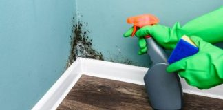 5 ways to remove mold from the most important surfaces in your home