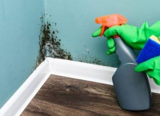 5 ways to remove mold from the most important surfaces in your home