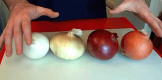 What To Cook With Different Types Of Onions