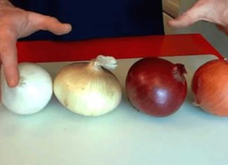 What To Cook With Different Types Of Onions