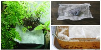 42 Dryer Sheet Hacks To Use For Everything But Drying Clothes