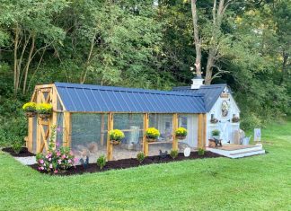 Couple Builds Dreamy Chicken Coop For Their Backyard Flock