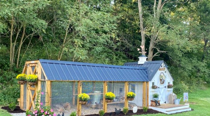 Couple Builds Dreamy Chicken Coop For Their Backyard Flock