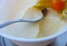 Homemade Ice Cream with Condensed Milk