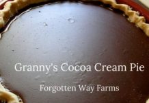 Grandma’s Chocolate Pie