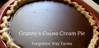 Grandma’s Chocolate Pie