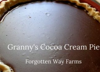 Grandma’s Chocolate Pie