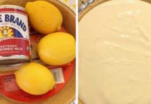 How To Make No-Bake Lemon Pie With Condensed Milk