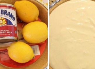 How To Make No-Bake Lemon Pie With Condensed Milk
