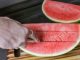 The woman’s simple trick for slicing watermelon