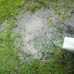 Try One of These Alternatives If You Hate Your Home’s Gutters